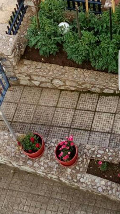 Visoko Homestay エクステリア 写真